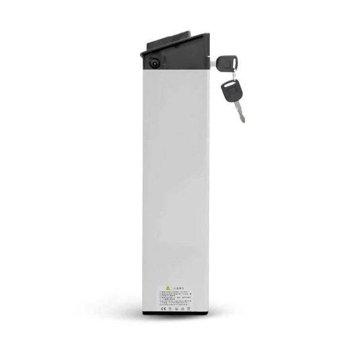 Batterie LITHIUM-ION pour ENGWE EP-2 PRO & ENGINE PRO